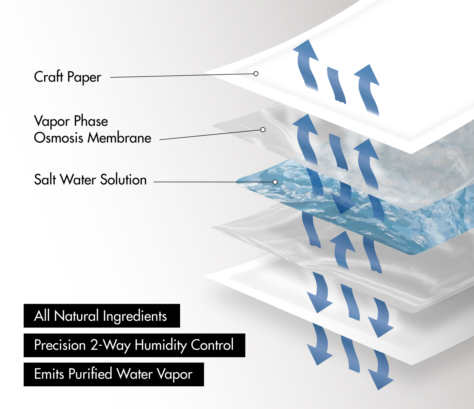Infographic that shows the different parts of a Boveda humidity pack. Craft paper, Vapor phase osmosis membrane, and salt water solution.